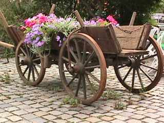 Wagon filled with flowers