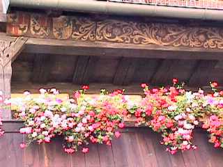 Carved balcony and flowerboxes in the Old Residence