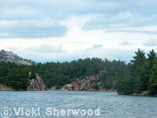 Killarney Park - George Lake - the scene to paint