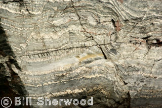 Killarney Park - close-up of contorted layers in quartzite rock