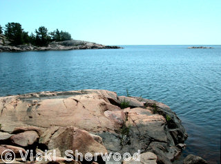 Killarney - Tarvat Bay - tar on rocks