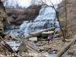 Albion Falls from below