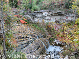 Upper Beamer Falls<empty>