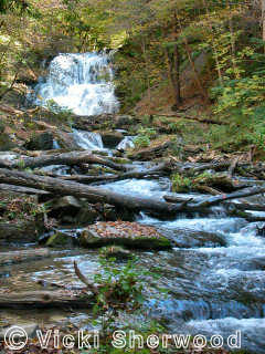 Lower DeCew Falls<empty>