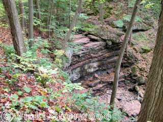 Louth waterfall