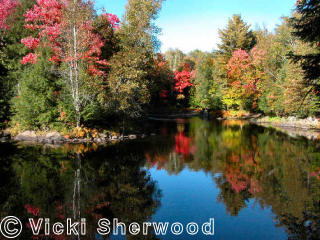 Reflections above Ragged Falls