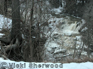 Lower Rockway Falls<empty>