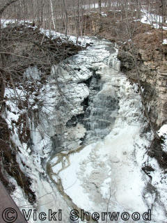 Swayze Waterfall in winter