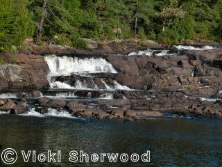 Wilsons Falls in summer