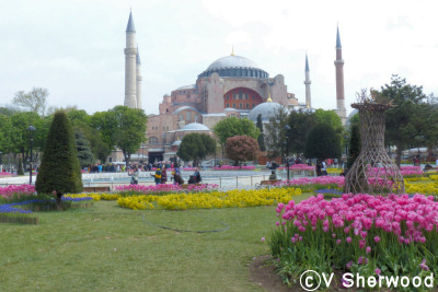 Istanbul - Hagia Sophia exterior