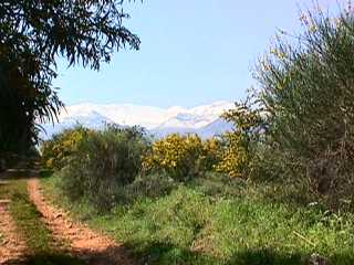 Path to Paidhori