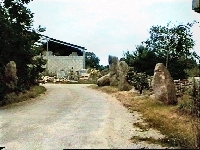 Part of Crucuny cromlech