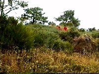 Crucuny tumulus