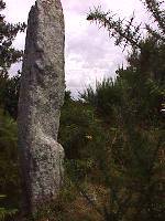 One of the menhirs at Crucuny