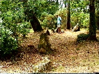 Part of stone circle around Kercado tumulus