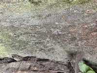 Engraved stones in Rondossec dolmen