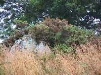 Rosnual dolmen