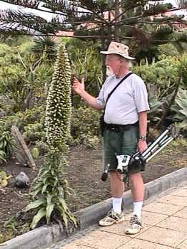 Bill beside Echium flower