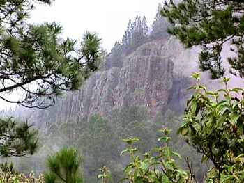 The Organ basalt columns near La Caldera