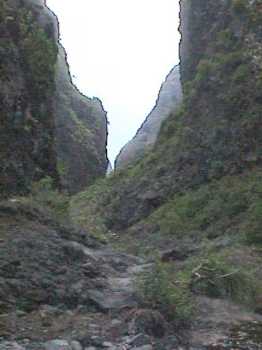 The upper canyon