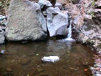 a pool in the stream