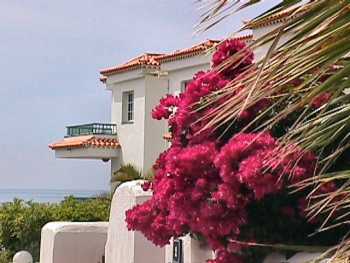 villa with bouganvillia